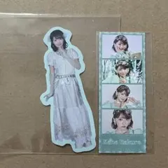 板倉可奈 ラッフル