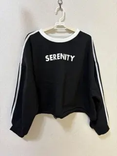 裏起毛 トレーナー レディース 4L