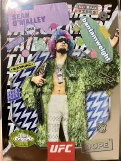 Item thumbnail for item 321e4f9c-8d72-45ae-9695-e714037d28f8