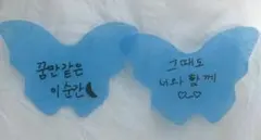 SEVENTEEN dxs ソウルコン　落下物　蝶　ドギョム　スングァン