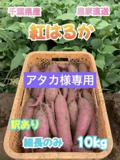 アタカ様専用　千葉県産　紅はるか　細長10kg 訳あり　144