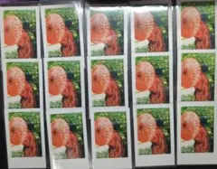 いれいす りうら 実写チェキ①