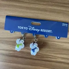 東京ディズニーリゾート ベイマックス チャームのサムネイル