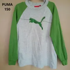 PUMA 長袖カットソー 150 グレー/グリーン キッズ