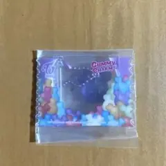 TWICE グミチャーム　サナ　サブリー