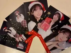 2025年11月個別生写真5枚セット/クリスマス2025 菅原咲月
