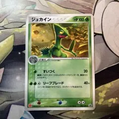 d2883ポケモンカードジュカイン　プロモ