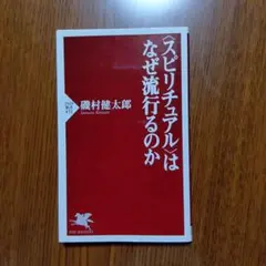 〈スピリチュアル〉はなぜ流行るのか