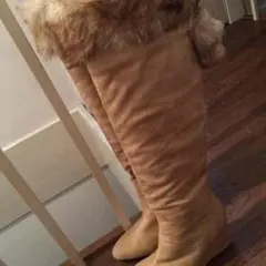 モコモコニーハイ（キャメル）２３㎝