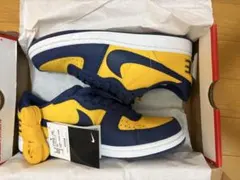 ⭐️ 美品　箱付　NIKE TERMINATOR LOW OG 26.5cmのサムネイル