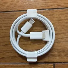 Apple Lightning to USB Cable