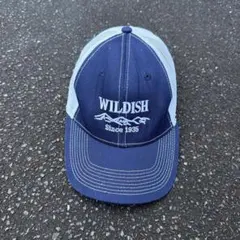 Item thumbnail for item 4f167ec6-047a-4a7c-ad6b-d8dec8b9a064