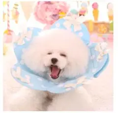 猫 犬 エリザベスカラー クッション 手術後ケア 傷口なめ防止 ブルー Ｌ