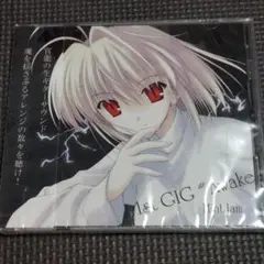 同人音楽CD 1st GIG #Awake / MintJam