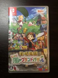 牧場物語 Let's 風のグランドバザール　Nintendo Switchソフト