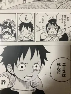 ◇ワンピース ONE PIECE 和装 和風 ルフィ ナミ レア 2枚セット - メルカリ