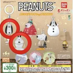 PEANUTS めじるしアクセサリー FUNNY ver. 2点セット