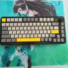 動作良好・美品】Aphex Bass Xciter / 生産終了の名機 - メルカリ