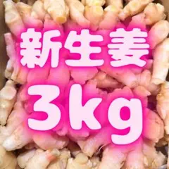 新生姜 薬味 おすすめ 256 - メルカリ