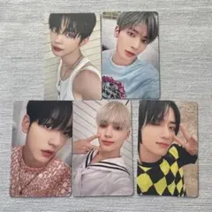 txt 中華 fight or escape 5枚セット ヨントン トレカ