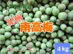 数量限定‼️完熟南高梅 大玉傷あり3L2Lサイズ 5kg みかんキング - メルカリ