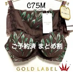 *C75M トリンプ プレミアム ゴールドレーベル 3085 ブラ＆ショーツBR