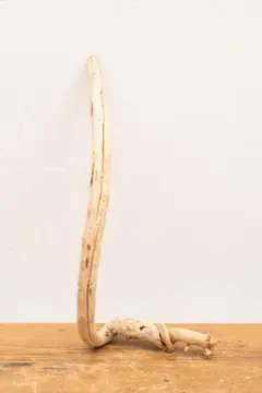 Item thumbnail for item 3667463b-434e-443f-8c74-259a65dcf283