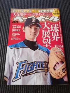 2026年最新】週刊ベースボール 2013年の人気アイテム - メルカリ