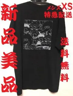 【超美品ラスト1枚】ユニクロ カウズ×セサミストリートTシャツ
