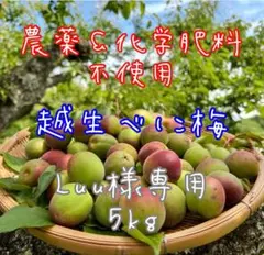 NAGOMIの梅『Luu様専用5kg』越生べに梅のサムネイル