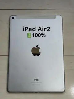 Apple iPad Air 2 16GB シルバー バッテリー100%