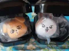 SKZOOぷくっとリング PuppyM（パピーム）Leebit（リービット）