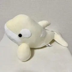 シャチ ぬいぐるみ ホワイト　アルビノ　名古屋港水族館　シャチくじ