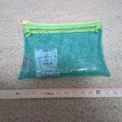 ケアベア　シークレットエンボスクリアポーチ　ウィッシュベア　グリーン