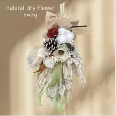 2026年最新】ラムズイヤーの人気アイテム - メルカリ