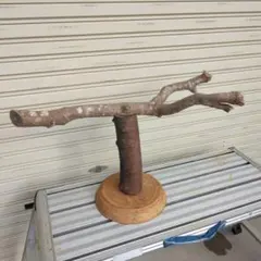 Item thumbnail for item 364a4690-58a5-4030-a0ae-d7159e4bd759