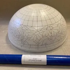 Item thumbnail for item 995fc06e-2f88-4835-a5dc-b07254cc884f