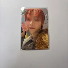 &TEAM ニコラス 雪明かり トレカ