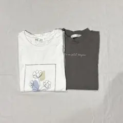 半袖Tシャツ 2枚セット
