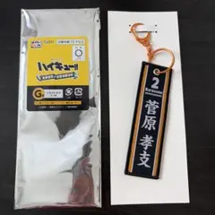 ハイキュー!! タイト 쿠지 G賞 フライトタグ 菅原孝支