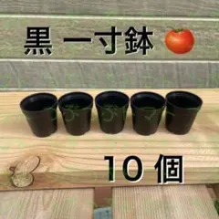 黒 一寸鉢 10個セット 1号鉢 1号ポット 1号プラ鉢のサムネイル