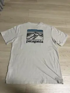 パタゴニア 半袖Tシャツ Mサイズ