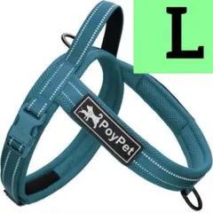 Item thumbnail for item f0177b7f-bfe6-4a27-aca6-63612200bdbc