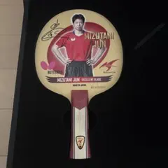 Butterfly Mizutani Jun 卓球　FROM JAPAN01専用