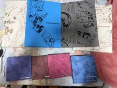 the sin:vanish セット