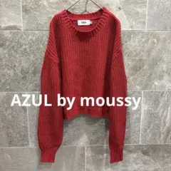 AZUL ざっくり編みニット ショート丈 赤　ゆったり ボリューム袖　フリー