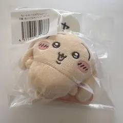 ちいかわ うさぎだらけくじ　ぬいぐるみバッジ E賞ヤハ