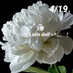 NSY様 リクエスト 2点 まとめ商品