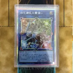 2026年最新】四花繚乱の霊使い BLZD-JP050 の人気アイテム - メルカリ