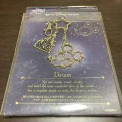 ディズニー　キーチェーン